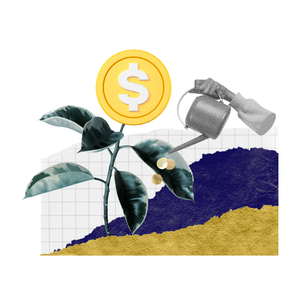 Investa image